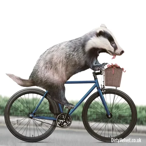 Travel Workout GIF