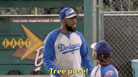 Comedy Baseball GIF