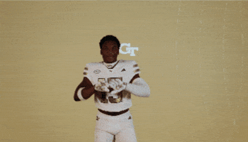 Georgia Tech Football Sport GIF by Georgia Tech Yellow Jackets