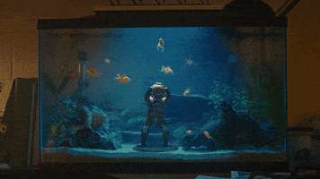 dance party scuba GIF by Mountain Dew