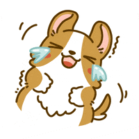 Happy Welsh Corgi GIF by Lazy Corgi