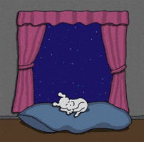 Dogs Love GIF by Chippy the Dog