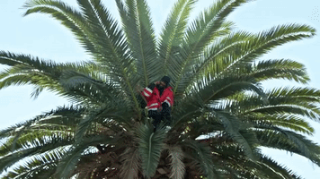 Kendrick Lamar GIF by Interscope Records