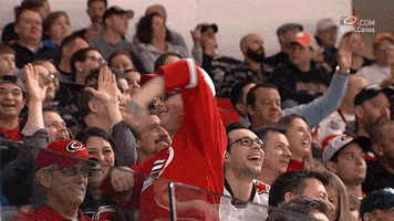 hockey dancing GIF by Carolina Hurricanes