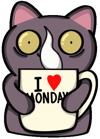 gif-Monday Morning Cat GIF