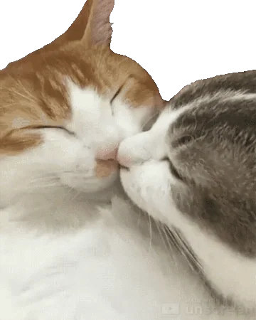 Kisses Love GIF by Alissandra