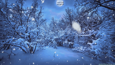 Good Night Snow GIF by echilibrultau by echilibrultau