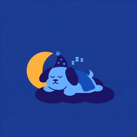 Snoozing Good Night GIF by Jessica Lau by jlaudesign