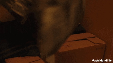 One Man Band GIF by Astrid and Lilly Save The World by blueicepictures