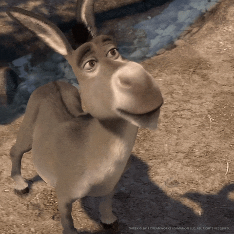 Oh No Deal With It GIF by DreamWorks Animation by dreamworks