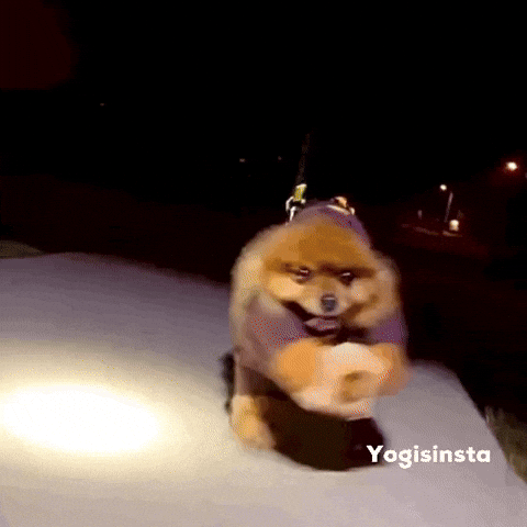 Amazon Prime Delivery GIF by yogisinsta