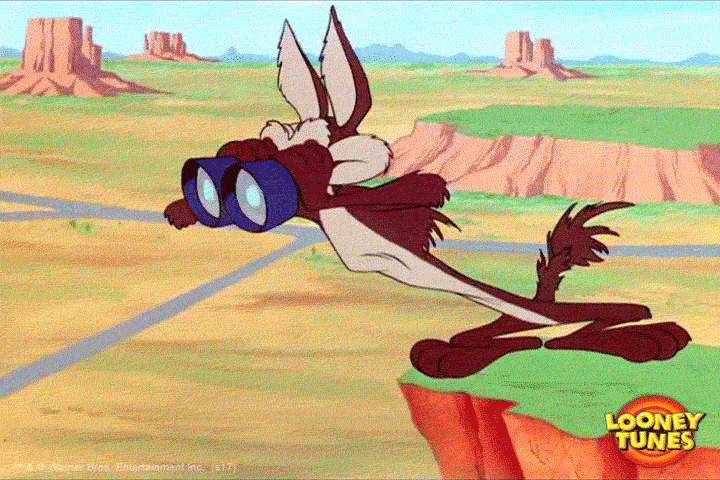 Confused Looking For GIF by Looney Tunes by looneytunes