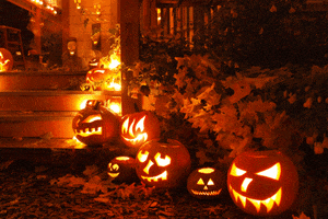 jack o lantern pumpkin GIF jack o lantern pumpkin GIF