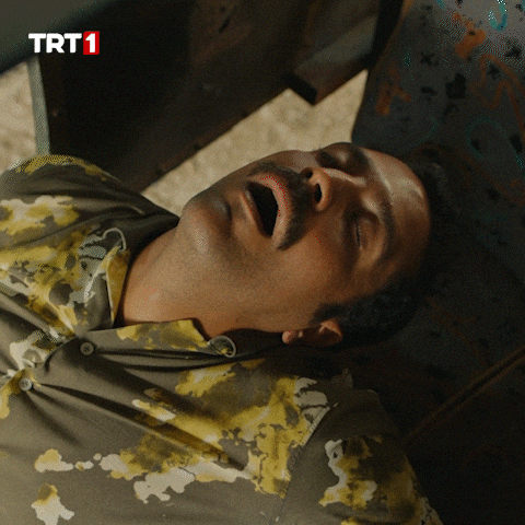 Giphy - Sleep Sleeping GIF by TRT