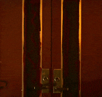 What Do You Mean GIF by Justin Bieber