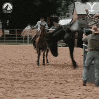 Paramount Network Horse GIF by Yellowstone