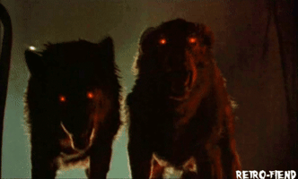 horror 1980s GIF by RETRO-FIEND