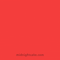 happy new year GIF by midnightcake