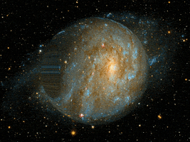 Germany Wow GIF by FranchiseONE.de