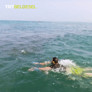 Giphy - Summer Refreshing GIF by TRT