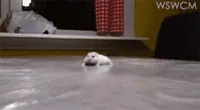 Wait Up Hold On GIF