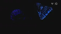 Glow Marine Life GIF by Monterey Bay Aquarium