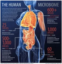 Humans Microbiology GIF