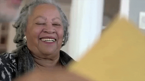 news  GIF