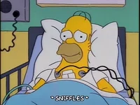 Happy Homer Simpson GIF