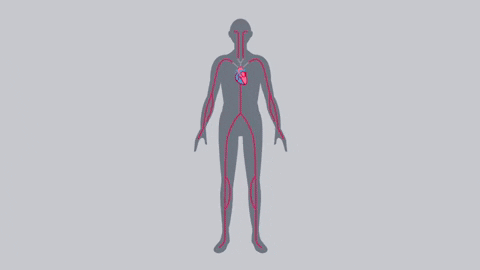 bhfsocialmedia  GIF