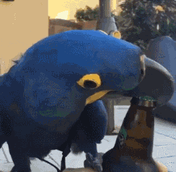  GIF