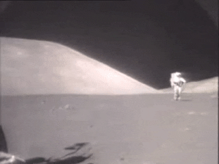 GIF by TVP.PL