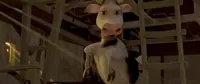 Scared Cow GIF by The Little Vampire