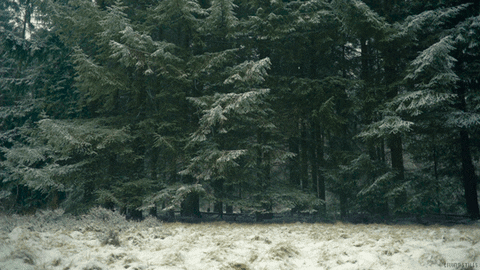 winter ice GIF by Living Stills