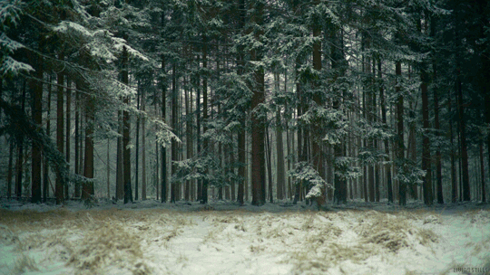snow winter GIF by Living Stills