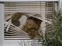 Interested Spy GIF