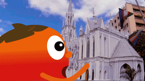 idamega  GIF