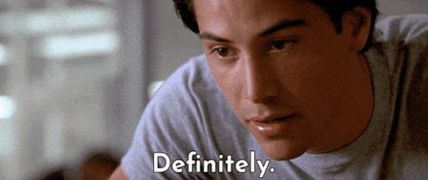 thecoolidge  GIF