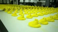 How Its Made Easter GIF