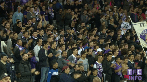 ligue 1 applause GIF by Toulouse Football Club