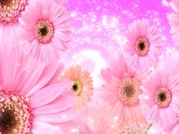 Flower GIF