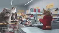 Grocery Store Cat GIF by Romy