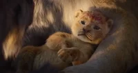 The Lion King Sneeze GIF by Walt Disney Studios