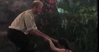 Cabin Boy Romance GIF