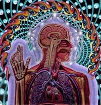 Life Tripping GIF