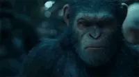 Ceasar GIF by War for the Planet of the Apes