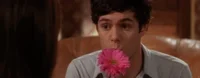 The Oc Flower GIF