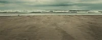 Beach Ocean GIF