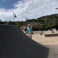 Roller Skate Chicks In Bowls GIF