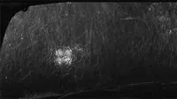 Raining Black And White GIF by The Good Films